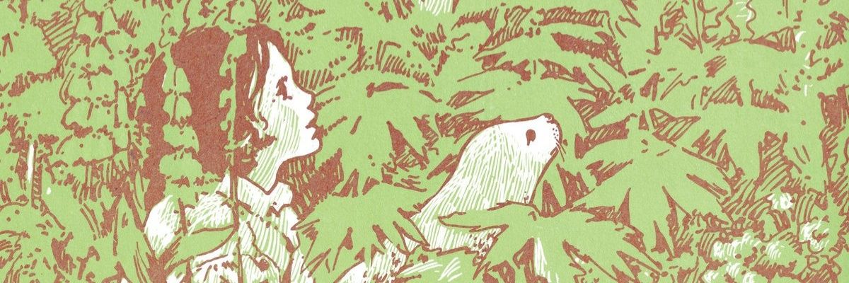 crysafty's profile banner image