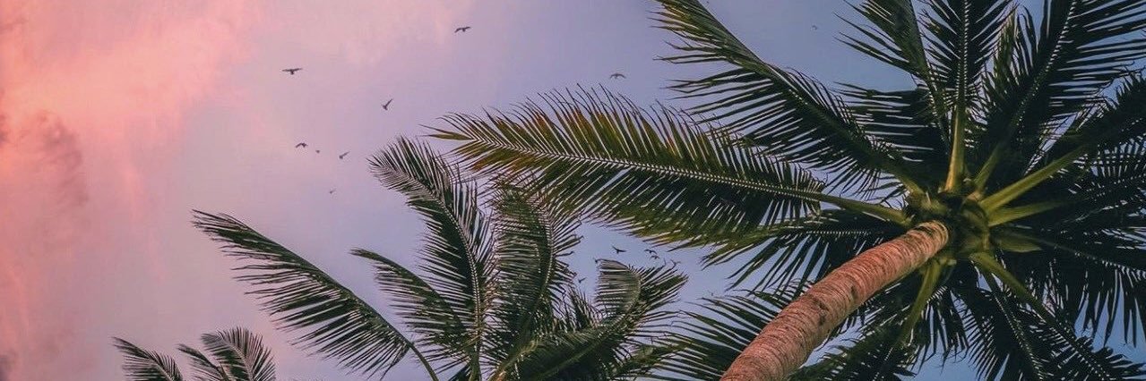 lady_rys97's profile banner image
