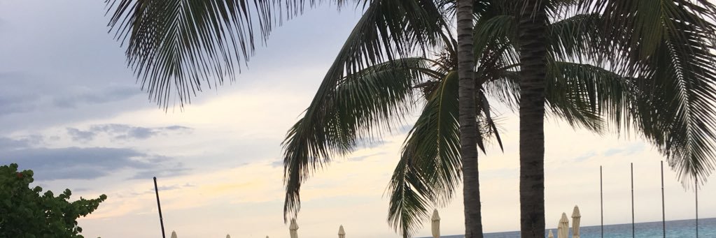 ambervannatter's profile banner image