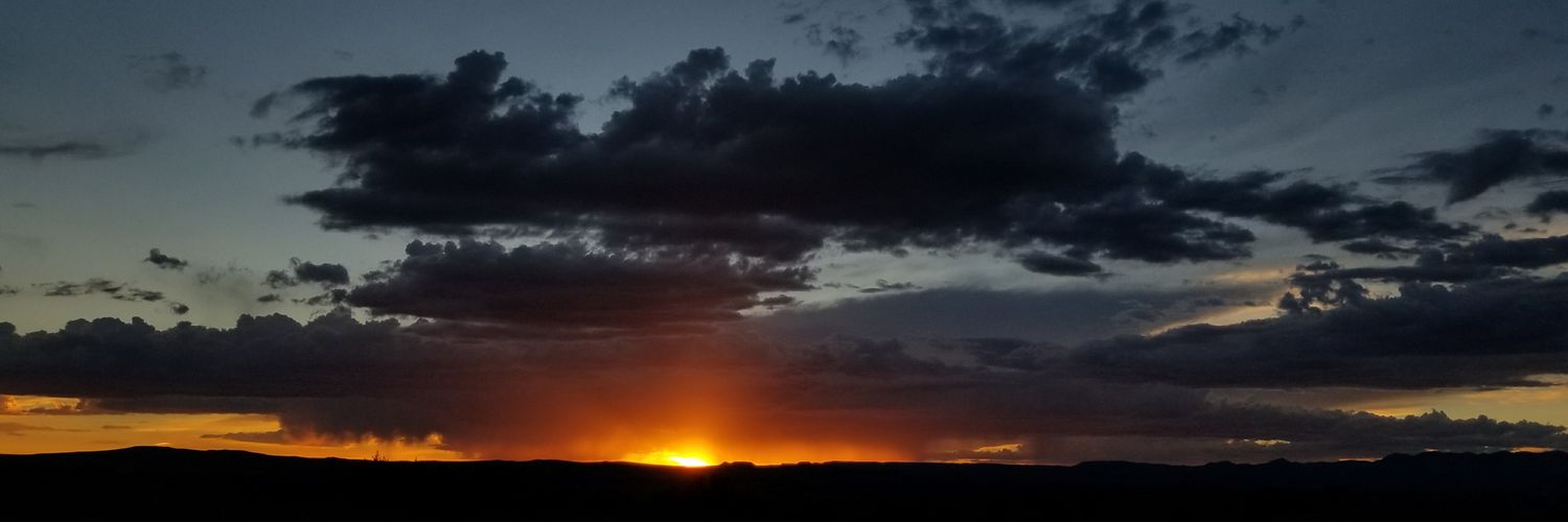 Lone_wolf14567's profile banner image