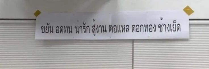 𝐉𝐚𝐦𝐨𝐲𝐲𝐲 banner