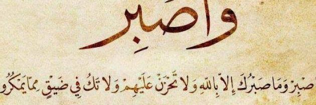 ⍣ 𝑵𝒂ŵa𝒇 ⍣ banner
