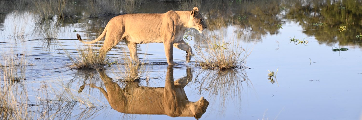 WanderingThru banner