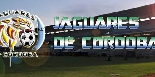 Javier Arteaga G. banner