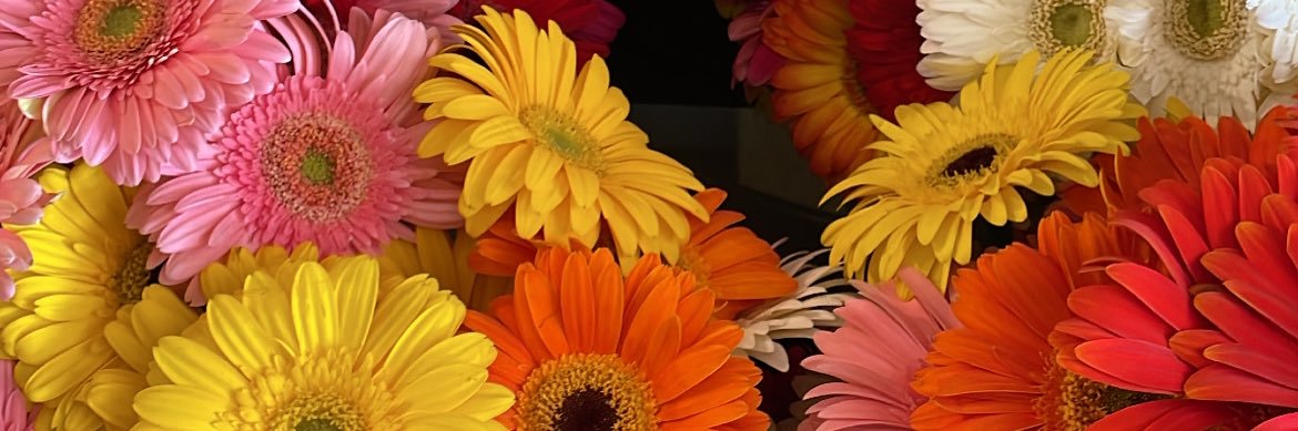 KatiiaCM's profile banner image