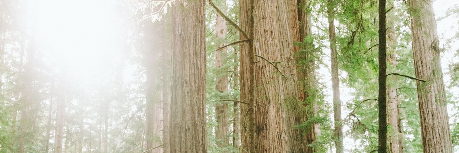 SarahMaxinePoet's profile banner image