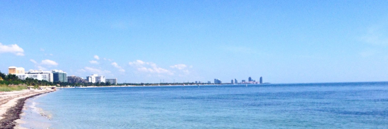 RachelFiction's profile banner image