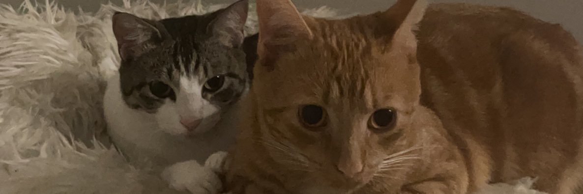BayleeBaxter4's profile banner image
