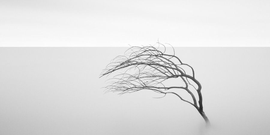 ururekina's profile banner image