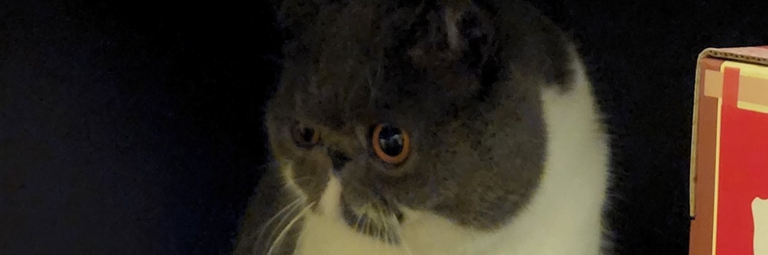 GlennTheAlien banner