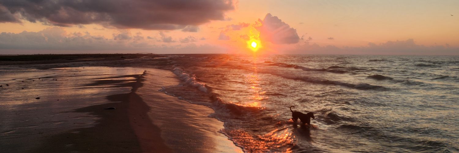 Michelle Stovall banner