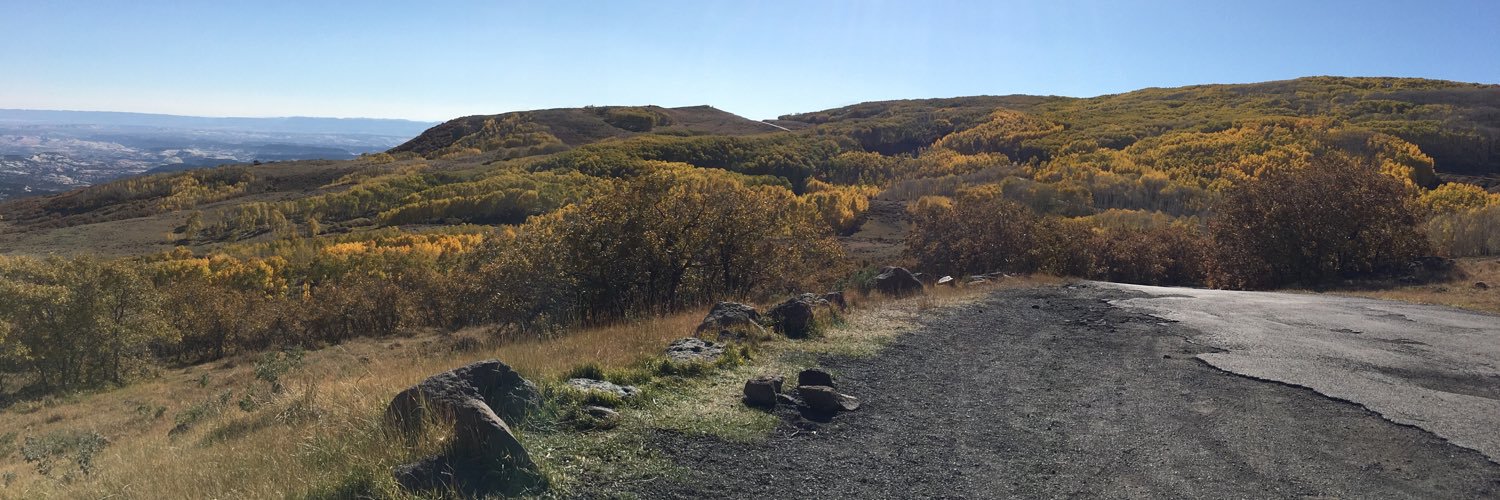 Livin’large banner