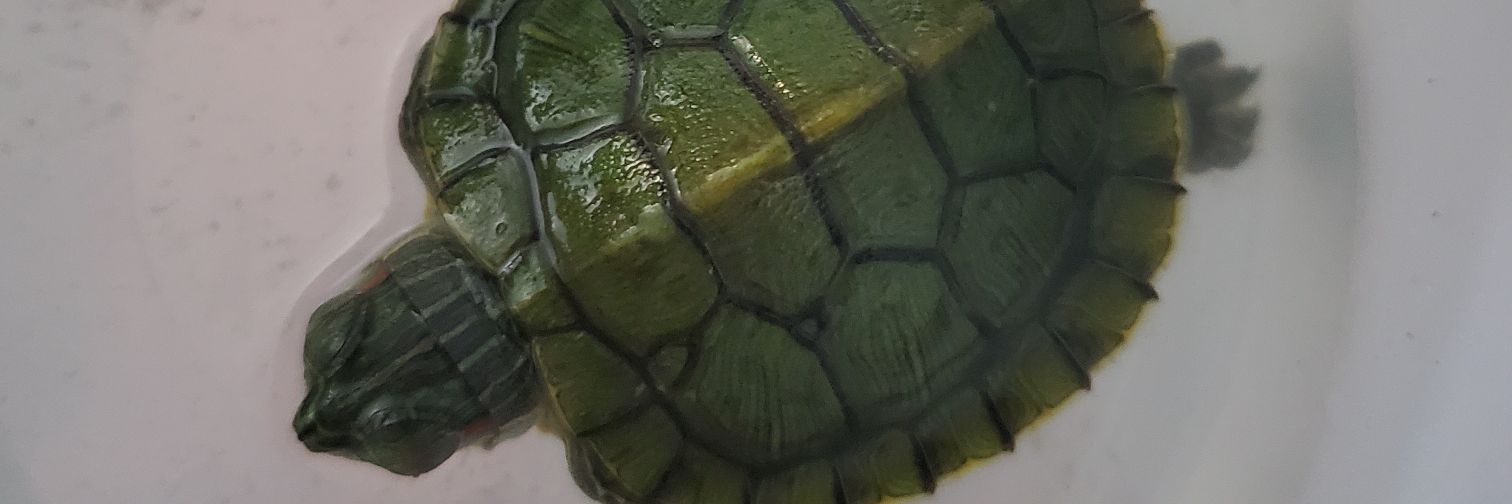 micablu's profile banner image