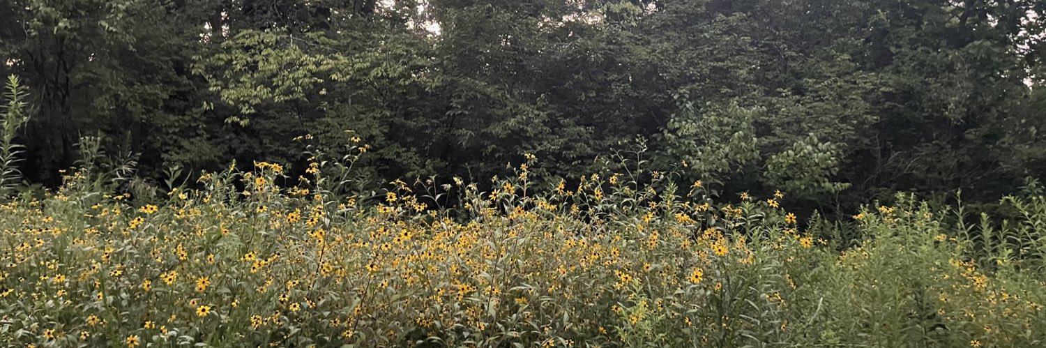 Carlee Rose banner