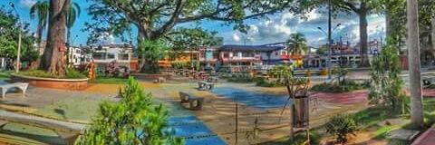 Ebec1206's profile banner image