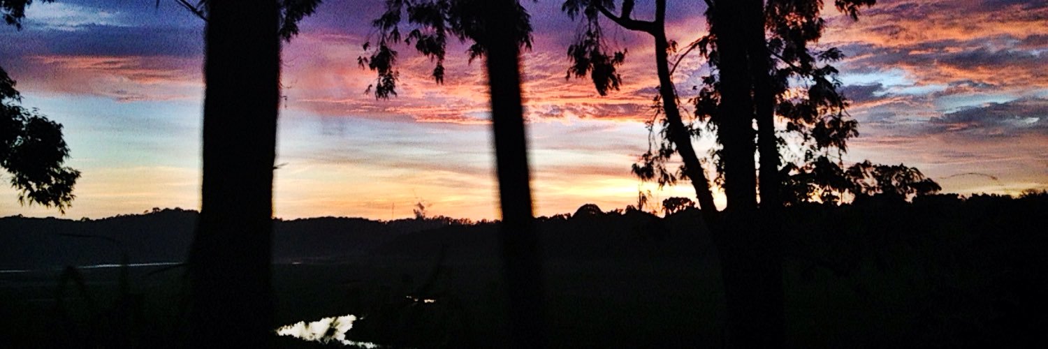 masbruninha's profile banner image