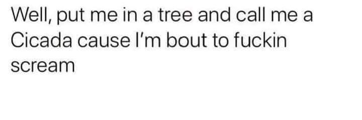 maxie 🏳️‍🌈 banner