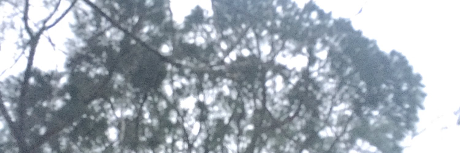 MarthaZ banner