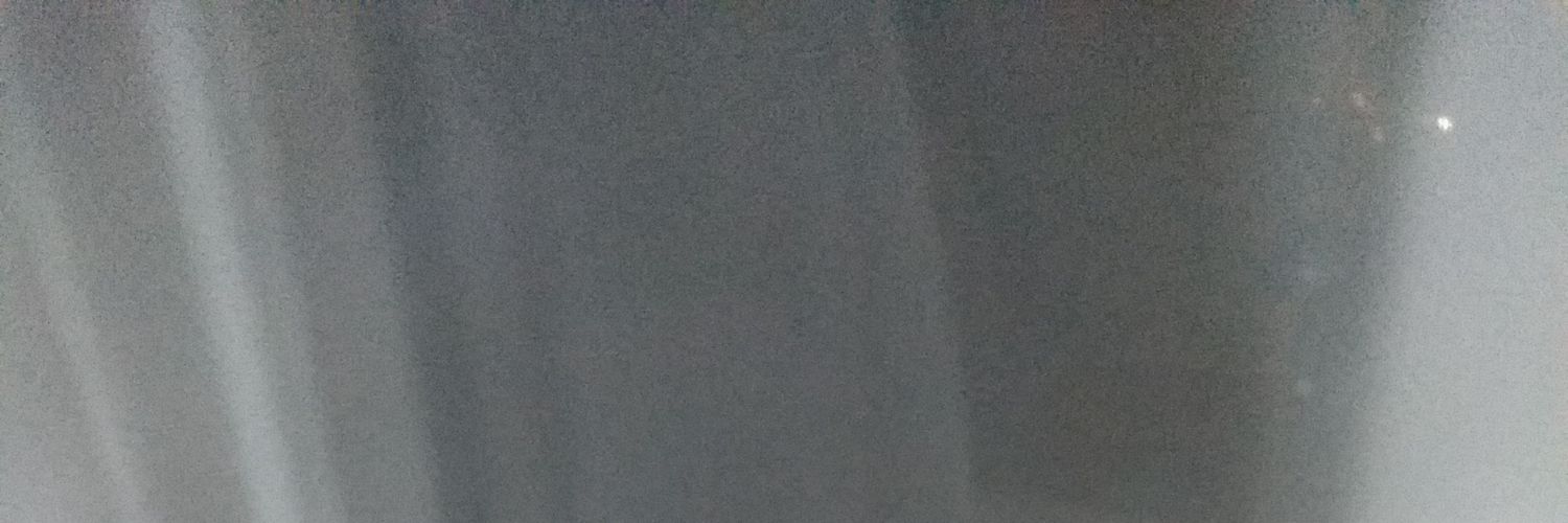 renataozn's profile banner image