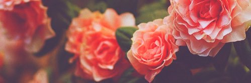 Dee22S's profile banner image