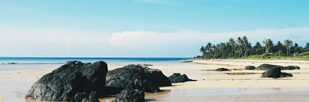meloiswhat's profile banner image
