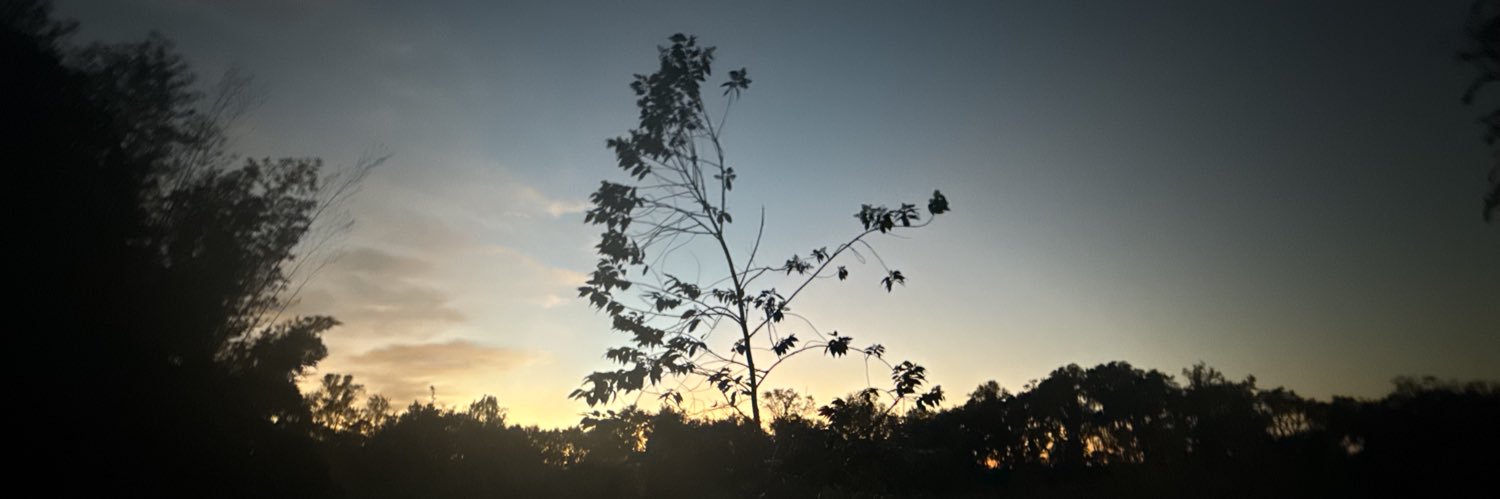 Buoni's profile banner image