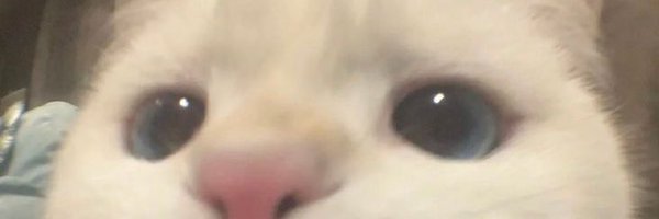 ployyymp Profile Banner