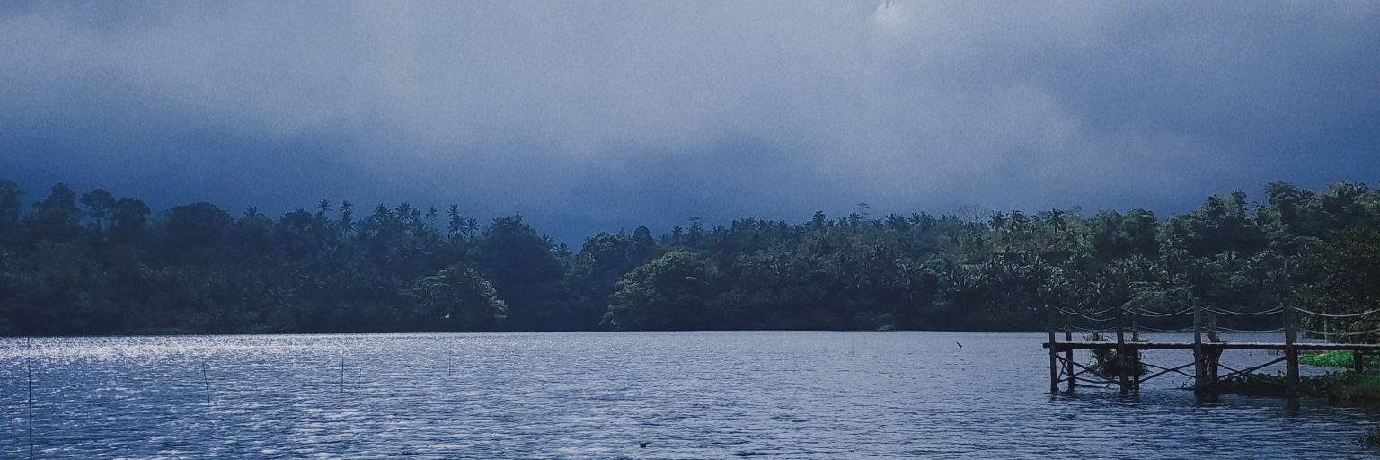 baebyberry's profile banner image
