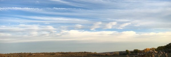 QMalmborg Profile Banner