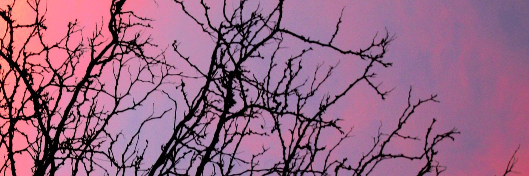 marialepiperno's profile banner image