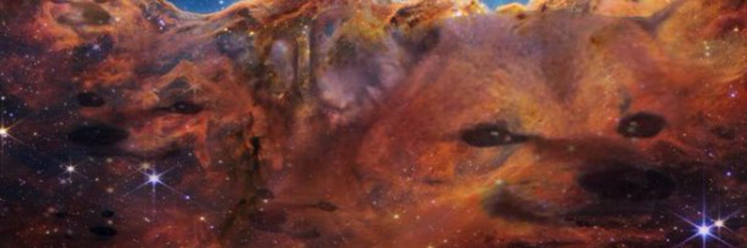 SheLiveth's banner