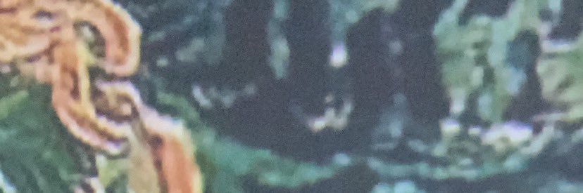 bianciwaldolf's profile banner image