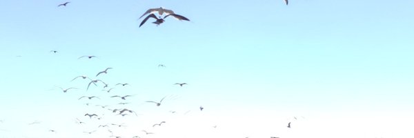 yanyihenku Profile Banner