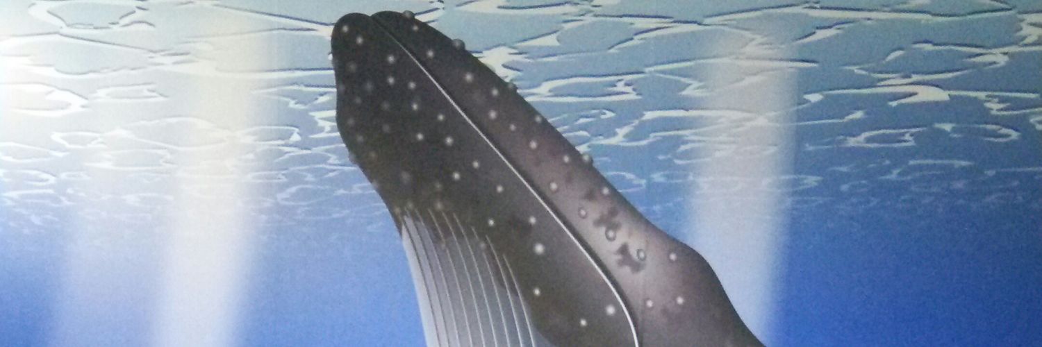 イリス banner