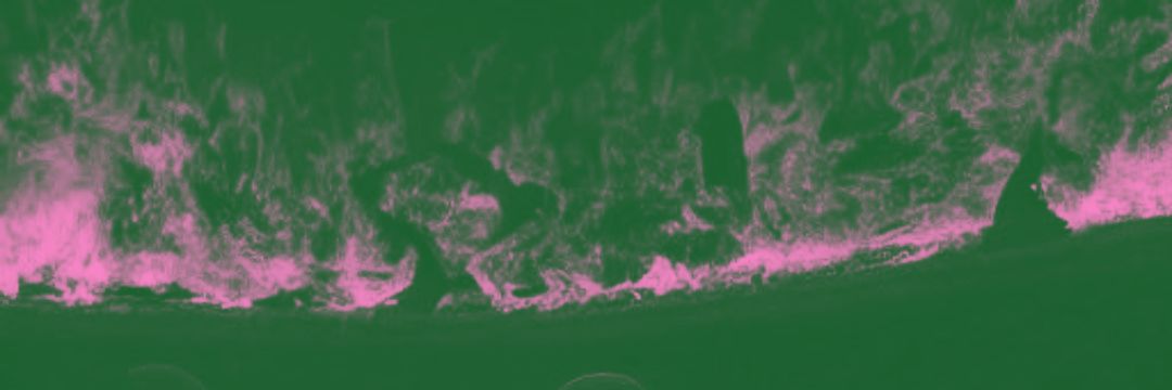 nervoustato's profile banner image