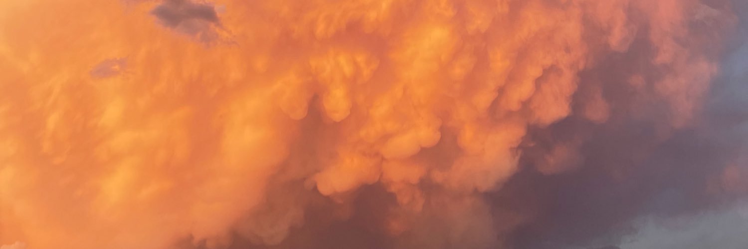daniirp_'s profile banner image