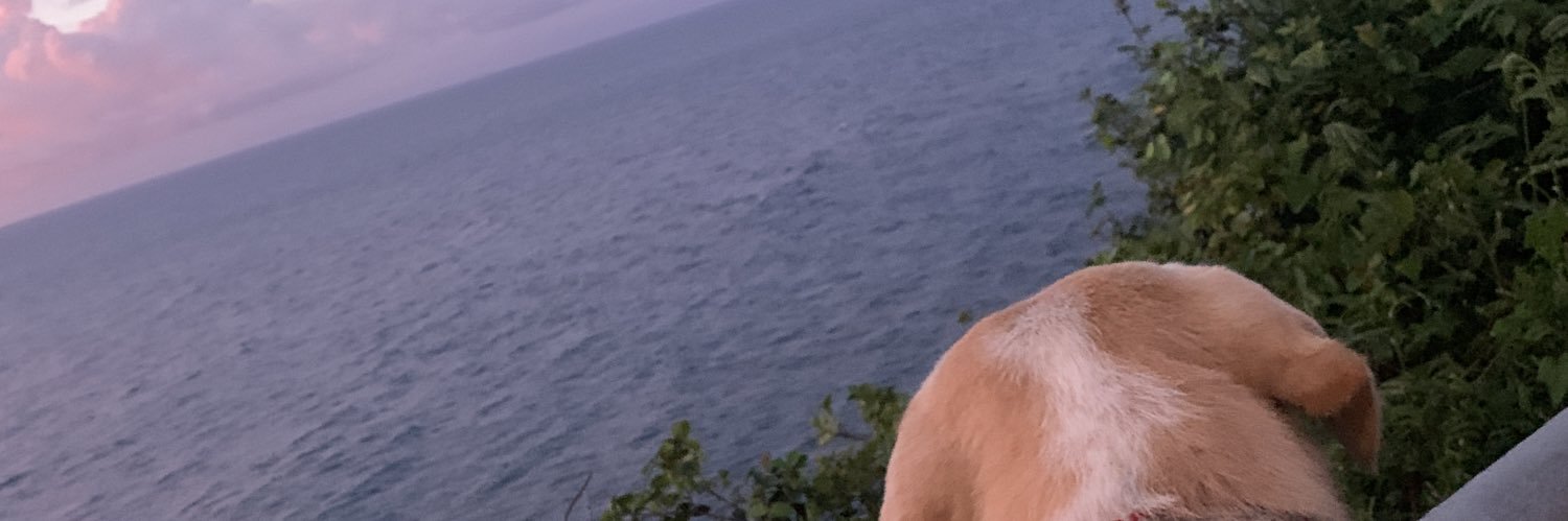 hugozsa's profile banner image