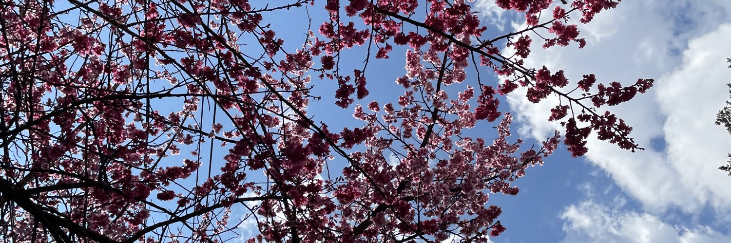 t_pear11's profile banner image