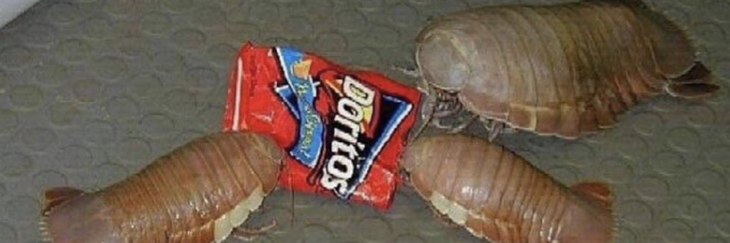 splotchyboi's profile banner image