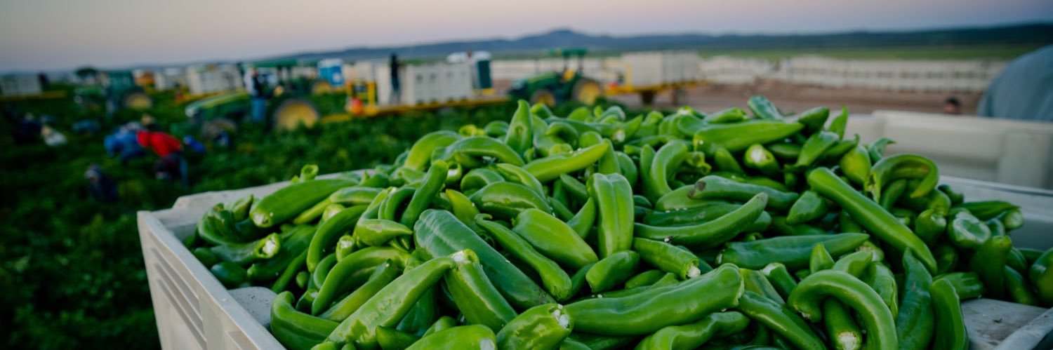 greenchile505's profile banner image