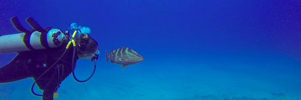 7sri3 Profile Banner