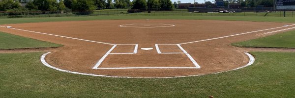 LadyBSoftball Profile Banner