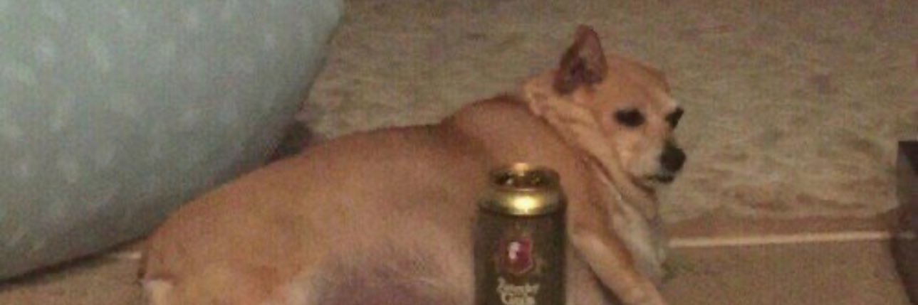 Captain Jean-Luc Dickhard banner