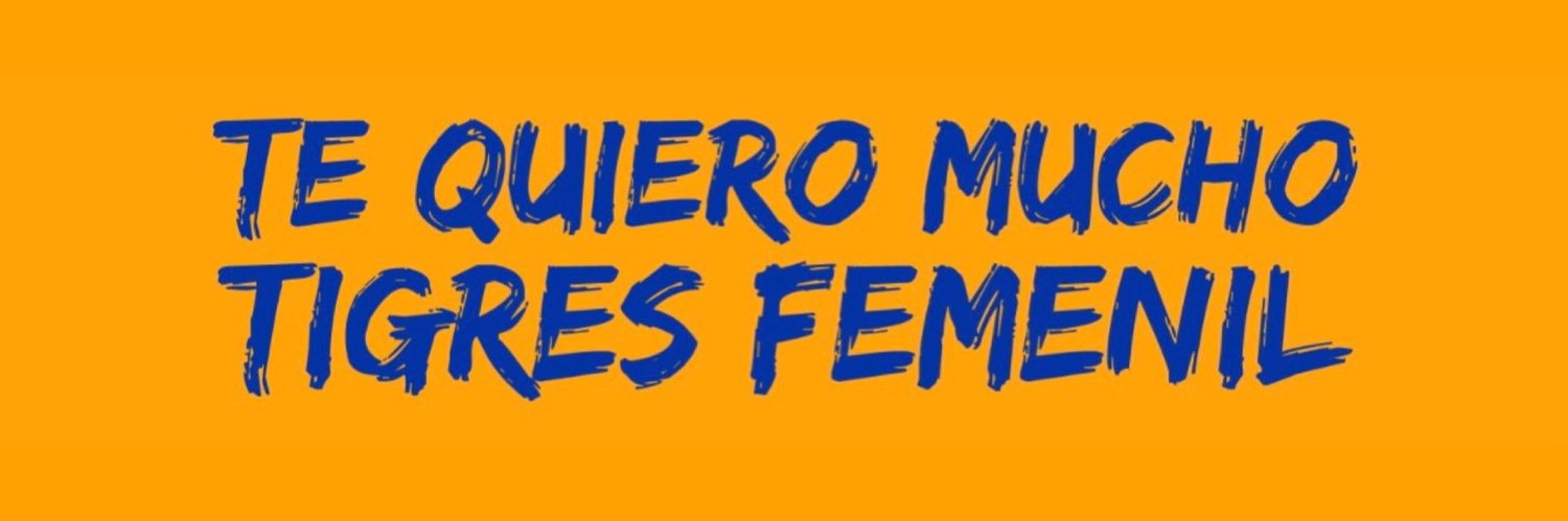 La prima tigre 👩‍💻 banner