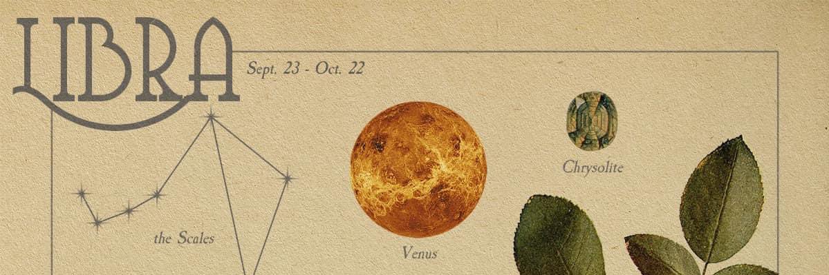 _oliveweed's profile banner image