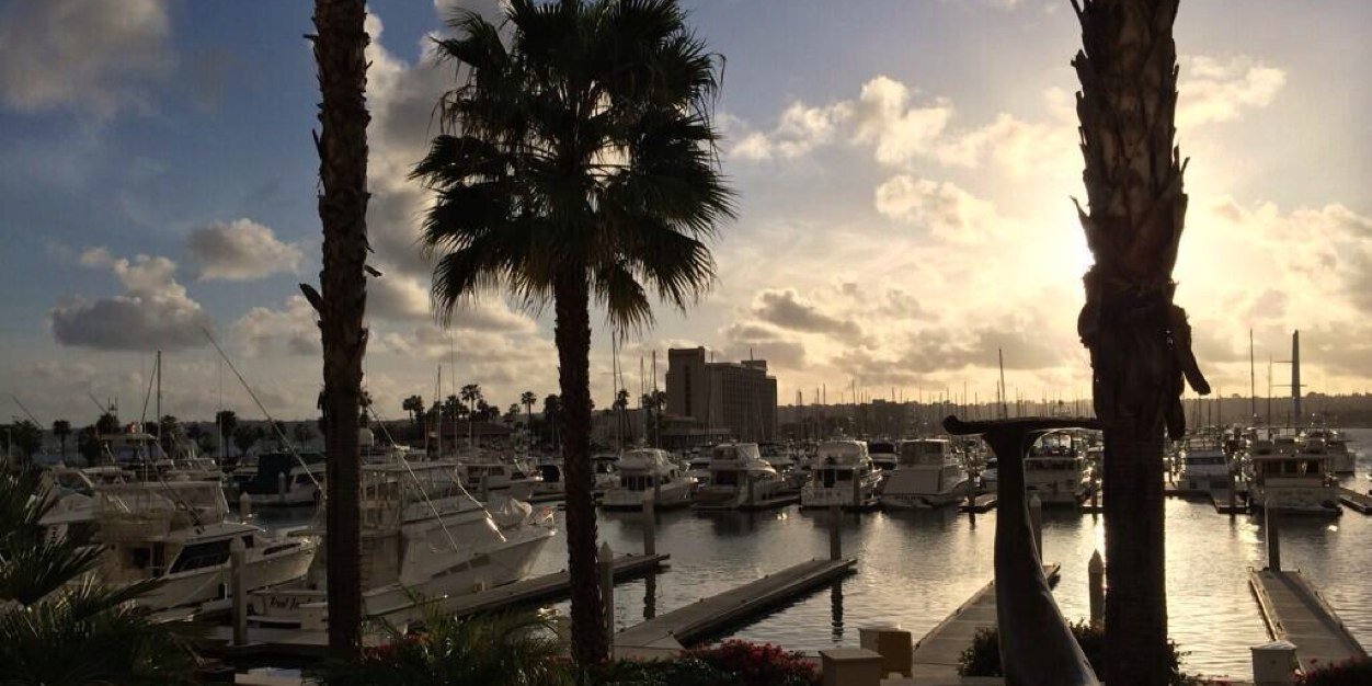 Dustin Trimmier banner