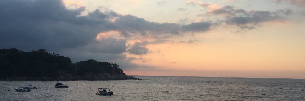 tripalover's profile banner image