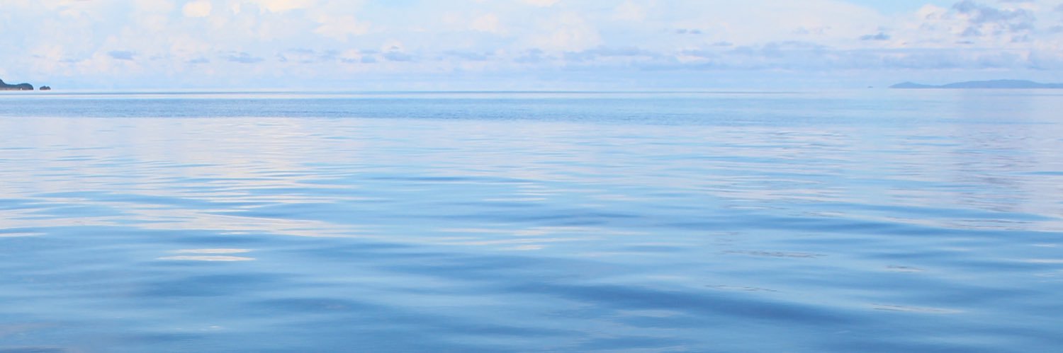 toby_pinto's profile banner image