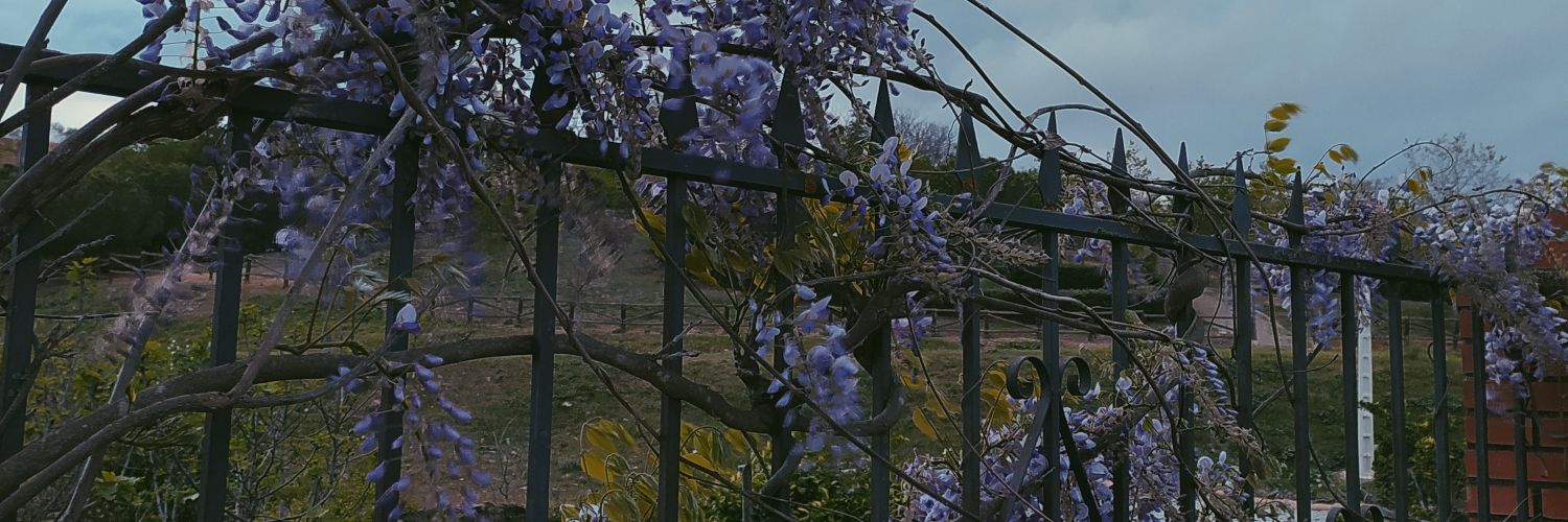 isamari014's profile banner image