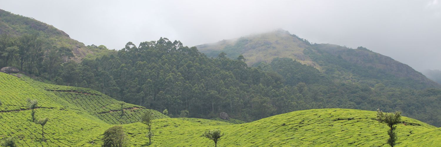 zainholidays's profile banner image